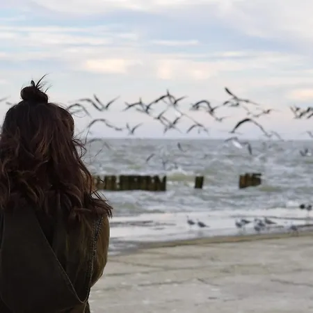 Deich-residenz App. 1 * Grömitz