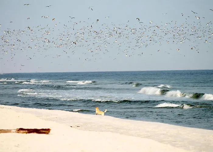 Deich-residenz App. 1 * Grömitz